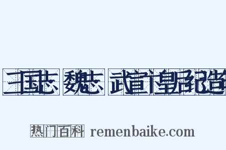 三国志·魏志·武宣卞皇后纪造句是什么意思的图片